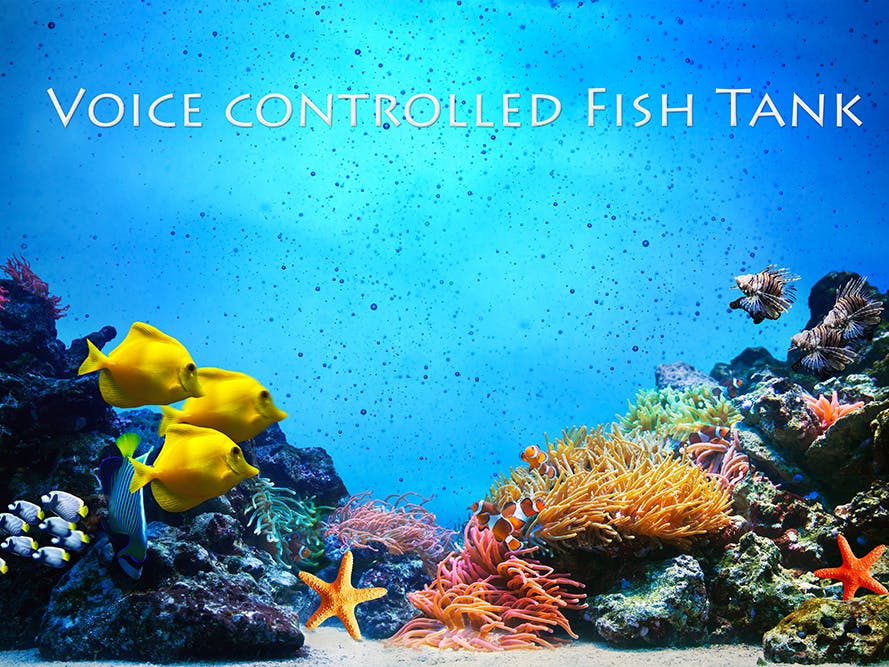 Voice Controlled Fish Tank