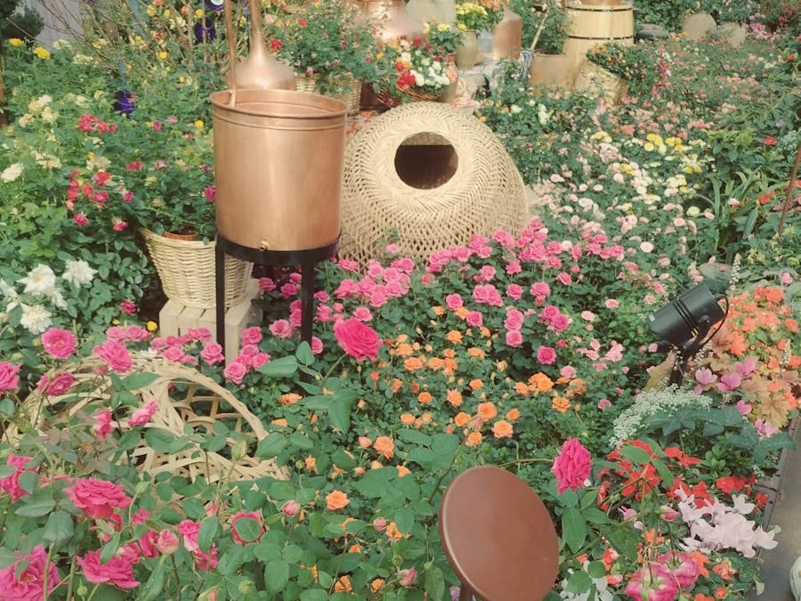 Sustainable technology in Urban Farming