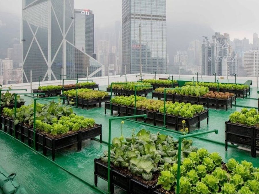 UtoFarm Hub: Efficient and Realiable Farming