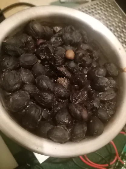 Coffee Sample in mini fermentation storage