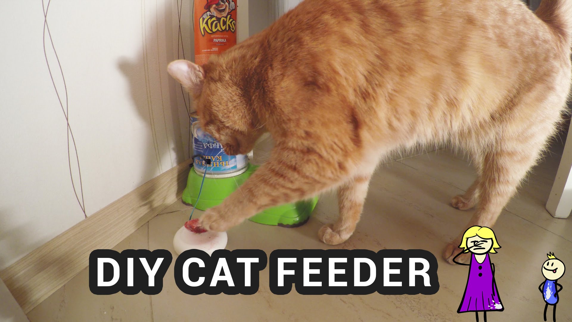 Homemade clearance cat feeder