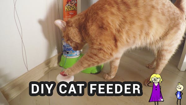 Diy Arduino Cat Feeder Arduino Project Hub