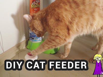 DIY Arduino Cat Feeder