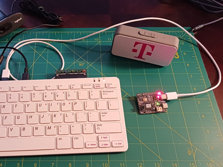 Local LLM Voice Assistant