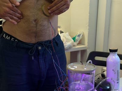 Gut-Gut Connection
