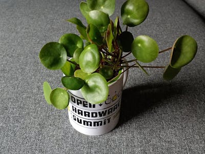 Self-watering OHS2025 Mug Flowerpot