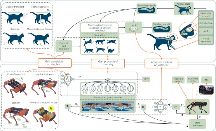 قدم زدن هوشمند: فناوری جدید راه رفتن را متحول میکند! 1 فریم ورک