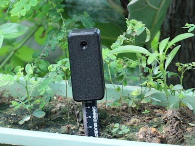 I Kept Killing My Plants. This E-Paper Dashboard Saved Them