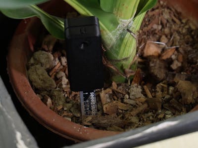 Level Up: My Plant Now Waters Itself