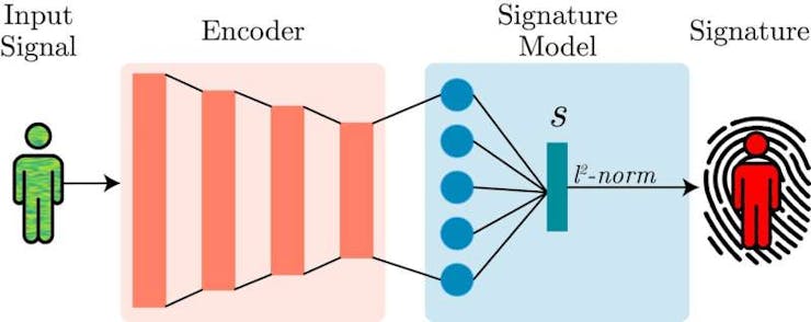 An overview of the WhoFi framework (📷: D. Avola et al.)