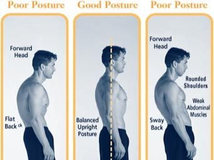 Posture Corrector