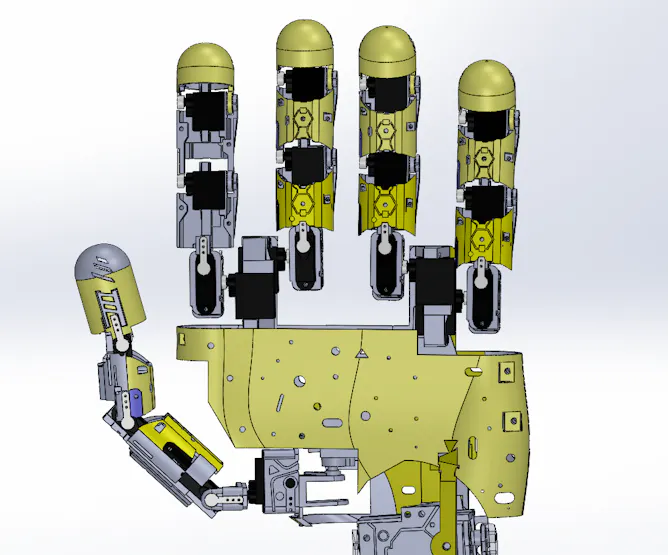 full_hand_1bO80plPib.png?auto=