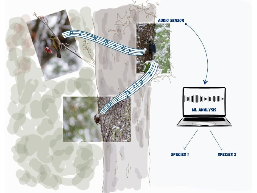 Bird detector: smart audio for real-time bird classification