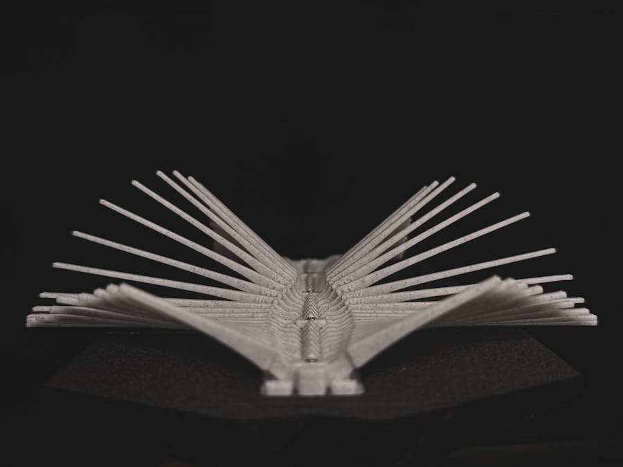 MantaRay - My 3D print is alive!