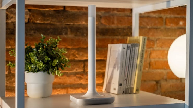 Home Assistant Goes Z-Wave Happy with the Connect ZWA-2, Boasts