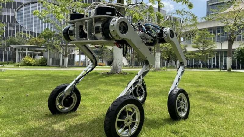 _Z0jGZvuzhQ.blob?auto=&format=jpg