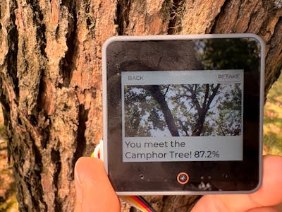 WithPlants: A Handheld Plants Explorer