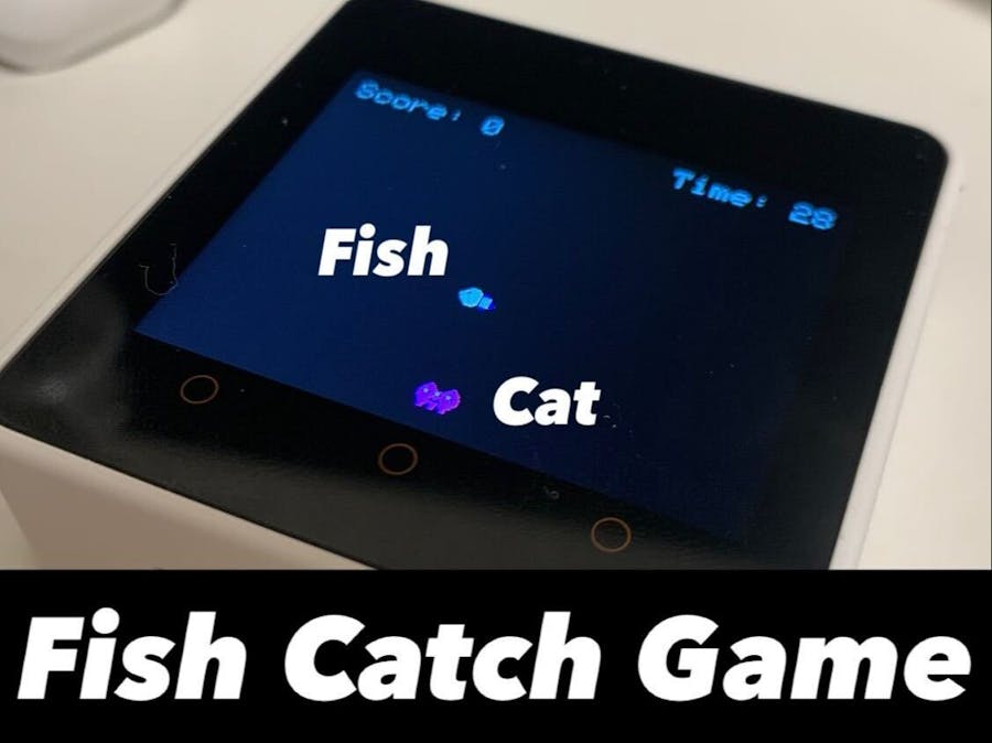 Fish Catch Game