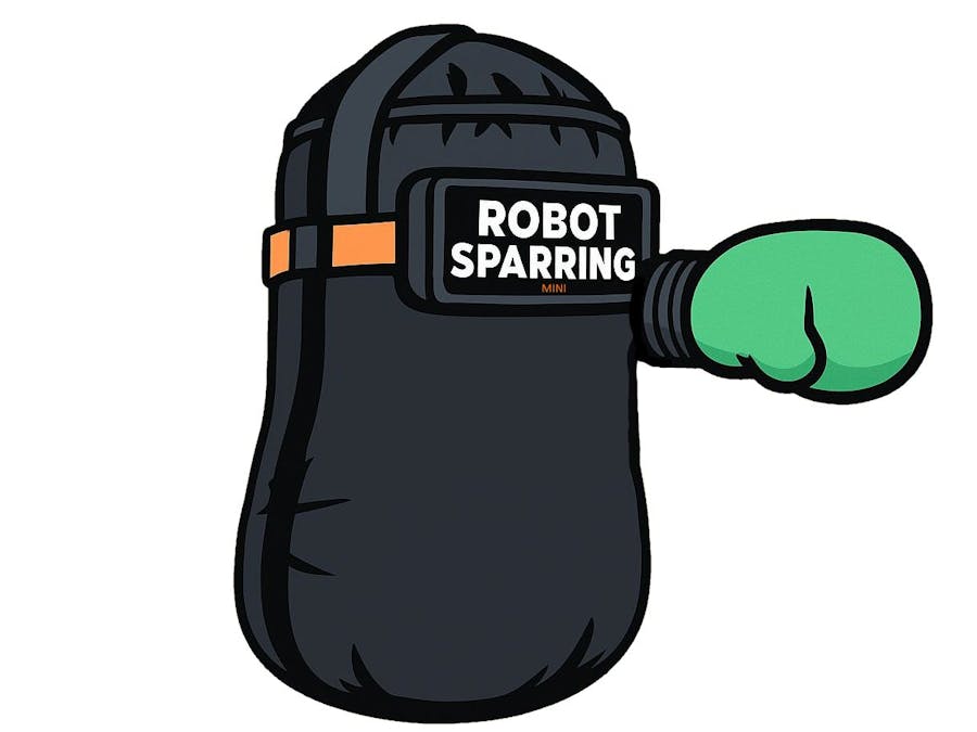 Robot Sparring Mini
