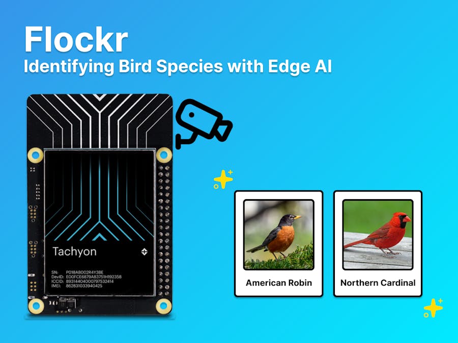 Flockr: Identifying Bird Species with Edge AI