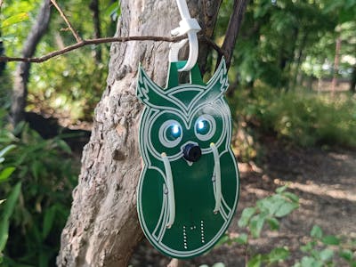 Edge AI on Zephyr: ULP Acoustic Monitoring for Wildlife