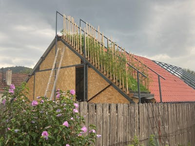 F-Roof: A multi-function, single-layer roof