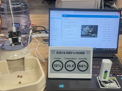 Automated Cat House