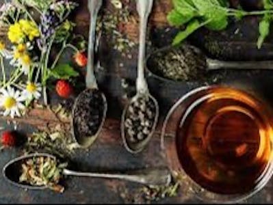 How Herbs help Gut Microbiome; Prediction model