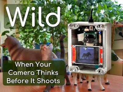 When Your Camera Thinks Before It Shoots