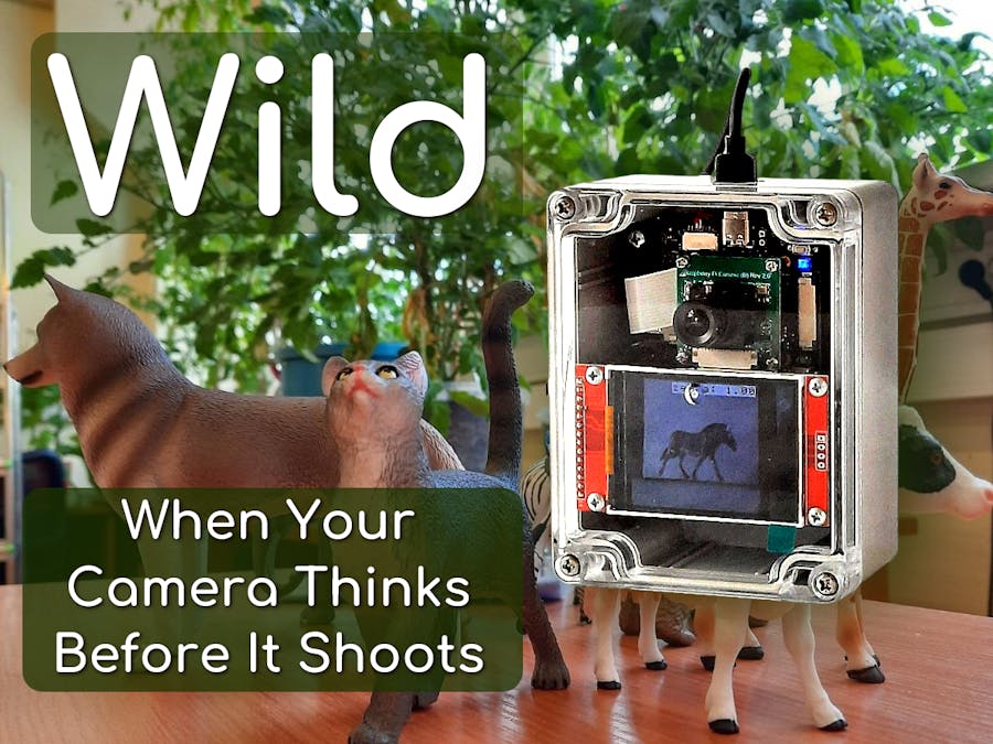 When Your Camera Thinks Before It Shoots