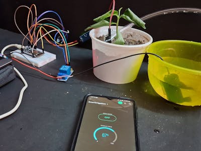 Smart Irrigation and Monitoring System using IoT