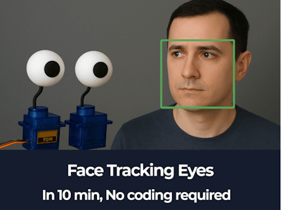 Face Tracking Eyes with AI Detection