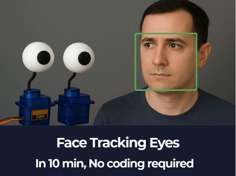 Face Tracking Eyes with AI Detection