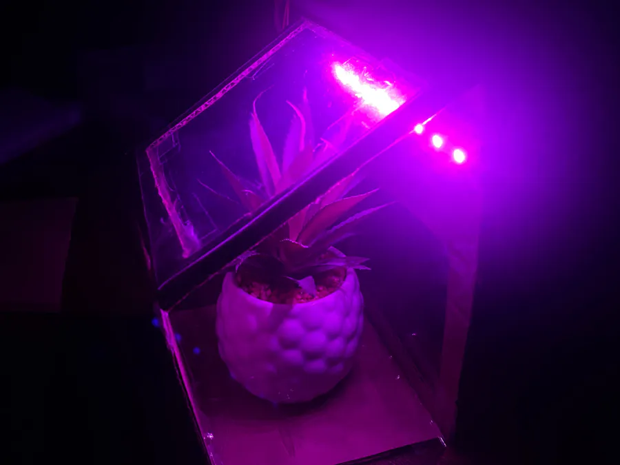 Automated Plant Lights