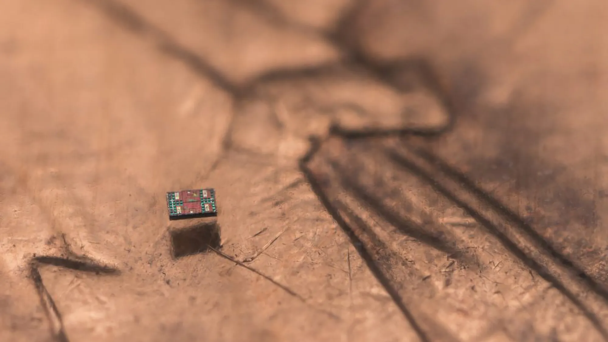 These Microrobots Are Smaller Than Salt—But Are We Ready for Robot Swarms Inside Our Bodies?
