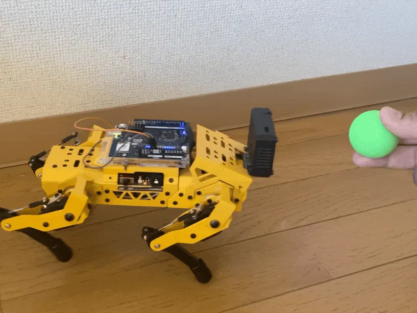 Autonomous Quadruped Robot Tracks And Pursues Ball