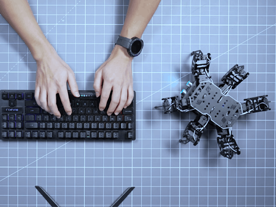 Tripod Gait for Hexapod Robots: Biology to Inverse Kinematic