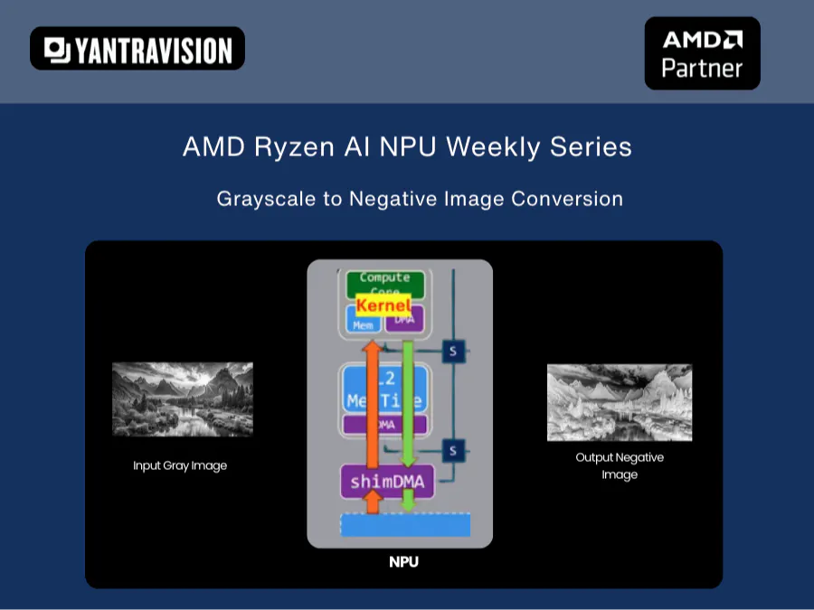 AMDRyzen AI NPU Grayscale Image to Negative Image Conversion