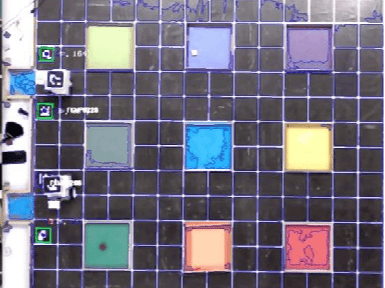 Sensorless Swarm: A Vision-Only Robot Warehouse