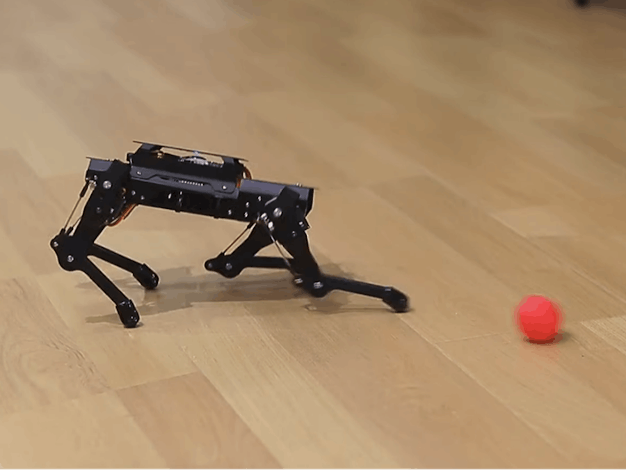 Unleash Your Pi: Code a Robot Dog PuppyPi