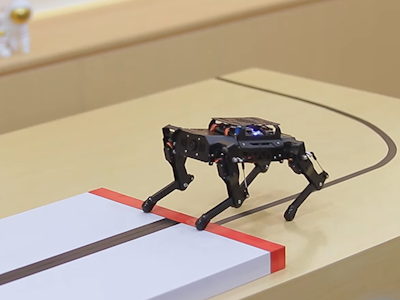 hackster.io - How PuppyPi Empowers STEAM and Robotics Competitions