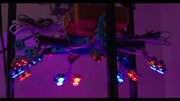 DIY Grow-Light System Tracks Plant Growth