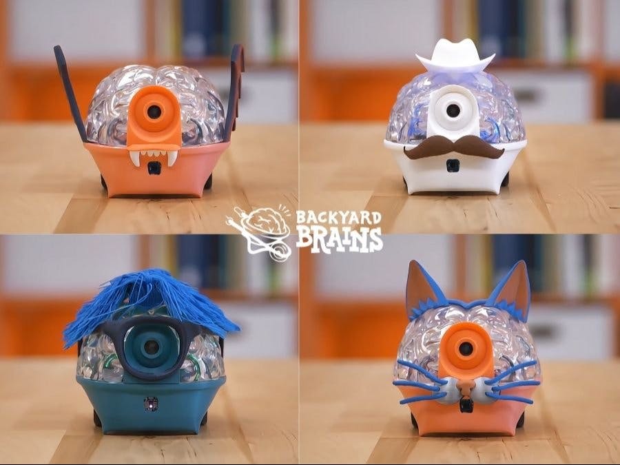 First Look: The SpikerBot by Backyard Brains