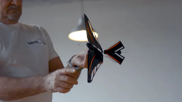 De Ruymbeke Tim Bird – Rubberen Vliegvogel, Fladdert Tot 50 Meter, Klassieker Uit De Jaren 60, Met Reserve Rubber, Vliegspeelgoed Voor Binnen En Buiten