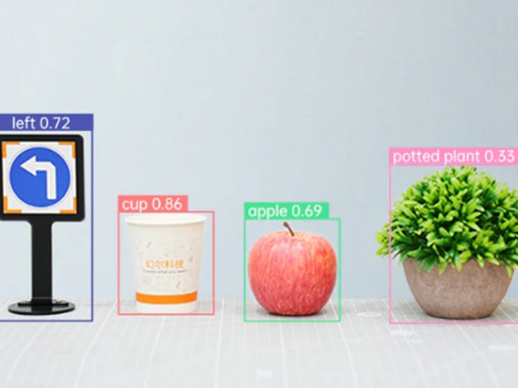 Driving the Edge: YOLOv11 Autonomous Mastery with MentorPi