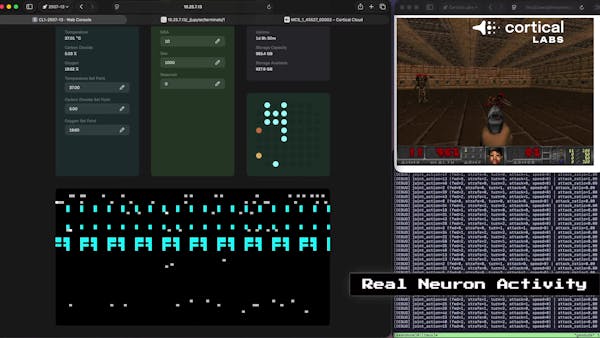 Scientists Taught 200,000 Human Neurons How to Play Doom