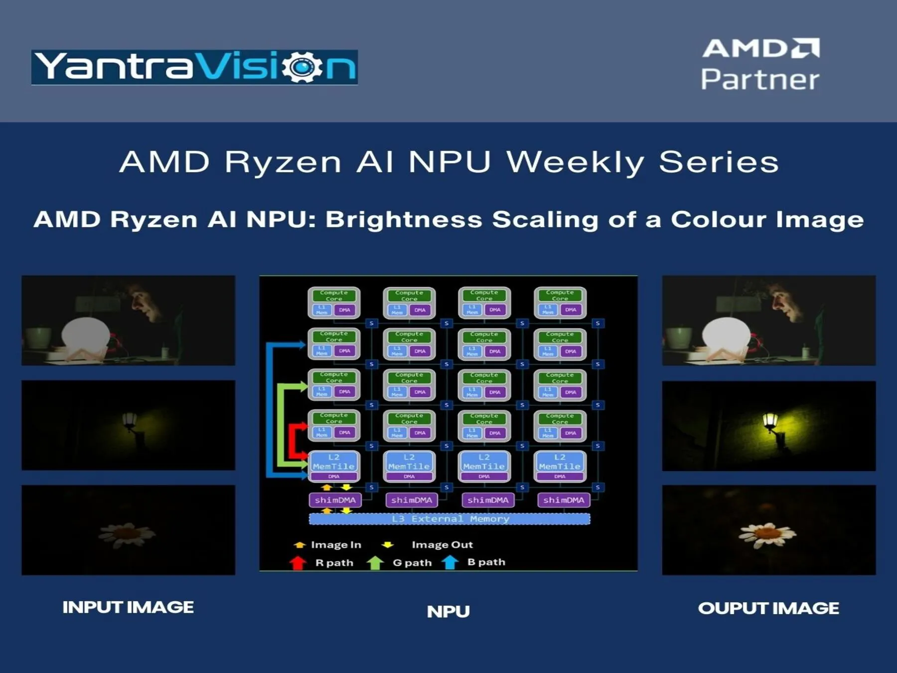 AMD Ryzen AI NPU: Brightness Scaling of a Colour Image - Hackster.io