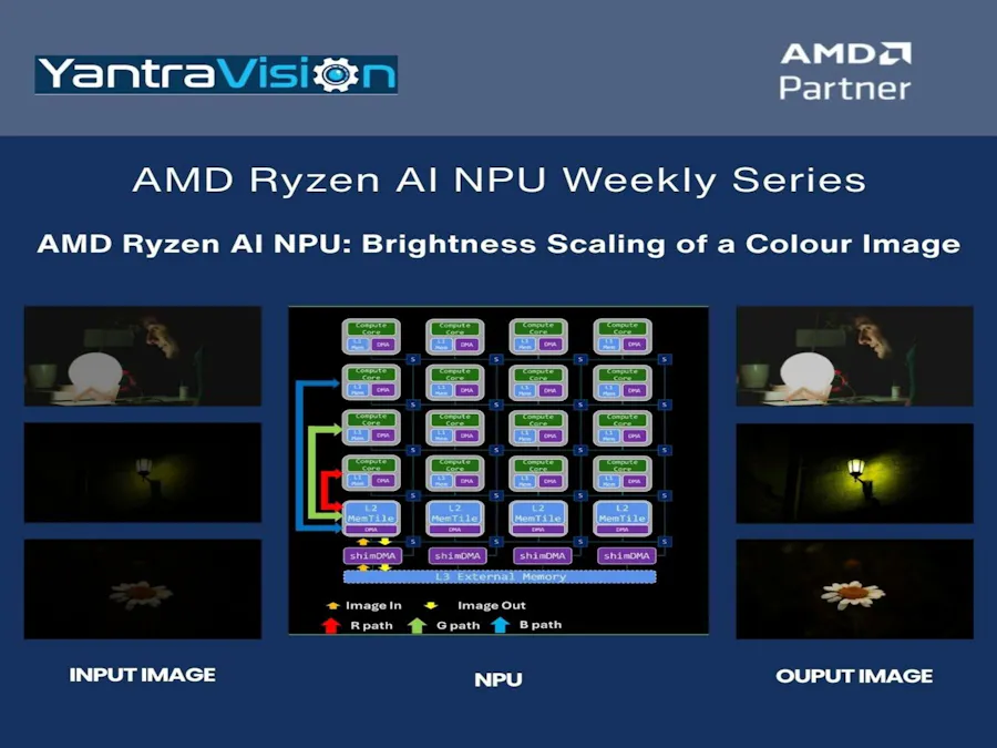AMD Ryzen AI NPU: Brightness Scaling of a Colour Image