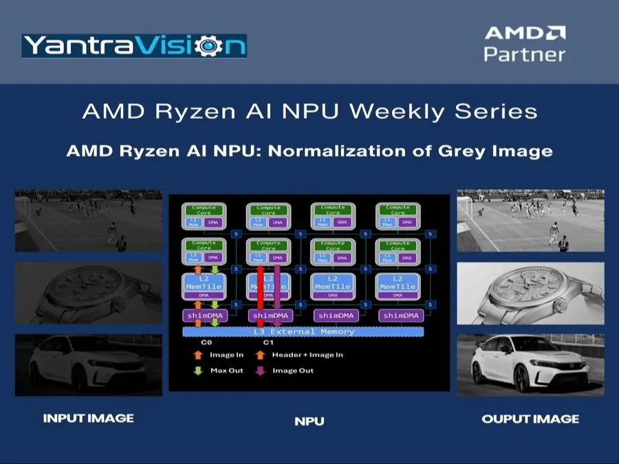 AMD Ryzen AI NPU: Normalization of Grey Image