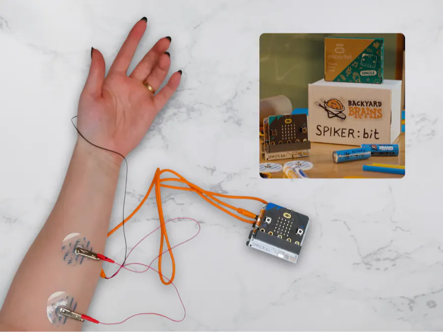 Roll a D20 with Your Muscle Flex (Spiker:bit + micro:bit)